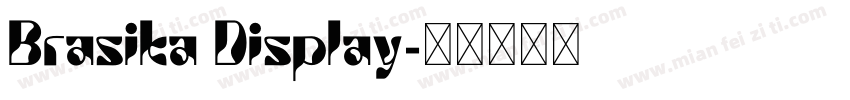 Brasika Display字体转换